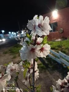 La casa naranja de Amaia