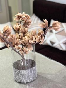 Apartamento luminoso con patio privado junto a la Plaza de Toros de Montoro