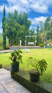 Chalé cipreste 3 Quartos