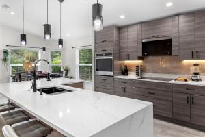 Staycation Station-Busch Gardens-Adventure Island-USF-Ampitheater-YBOR