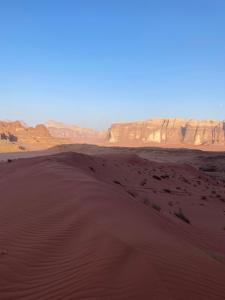 Bedouins nights