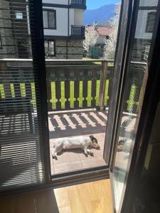 ТРИ ПЛАНИНИ ап113