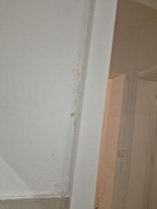 140 m2 Spacious Apartment with Balcony & Parking