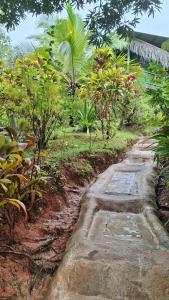 Vista Alta Ecolodge Bahia Drake