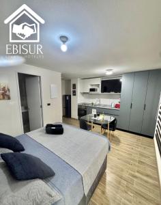 EBISUR Apart - Hoteles MAIPU 2