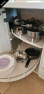 Quiet Lakeside Forest Escape