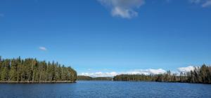 Quiet Lakeside Forest Escape