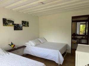 OASSIS CONEXION SIN FRONTERAS