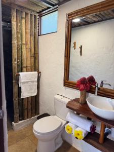 OASSIS CONEXION SIN FRONTERAS