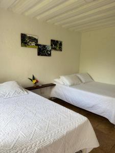 OASSIS CONEXION SIN FRONTERAS