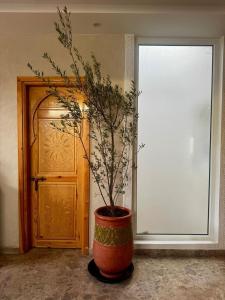Soho elegance near beach & center 2 bedrooms terrasse