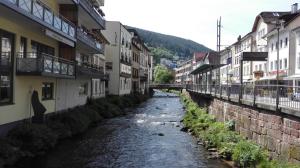 Apartement Wildbadferien Bad Wildbad Saksamaa