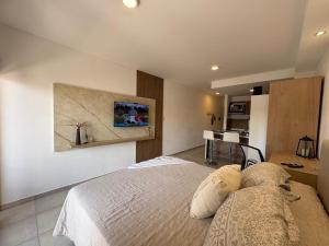 suite urquiza