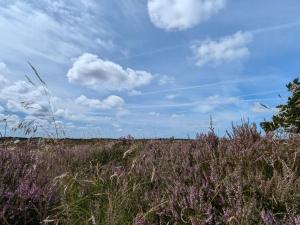 Tranquil Retreat in Bolilmark-By Traum