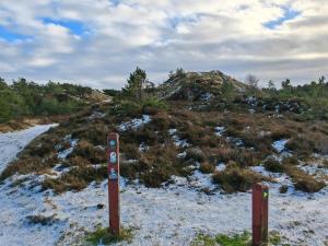 Tranquil Retreat in Bolilmark-By Traum