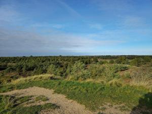 Tranquil Retreat in Bolilmark-By Traum