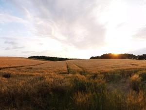 6 person holiday home in Hejls