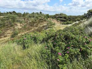 6 person holiday home in Rømø