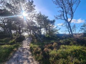 6 person holiday home in Rømø