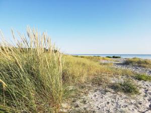 8 person holiday home in Ebeltoft-By Traum