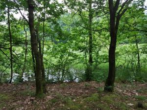 6 person holiday home in Toftlund-By Traum