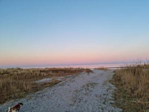 4 person holiday home in Hals-By Traum