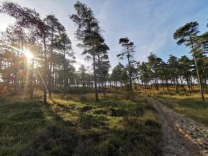 Secluded 60s Cottage - By Traum Ferienwohnungen