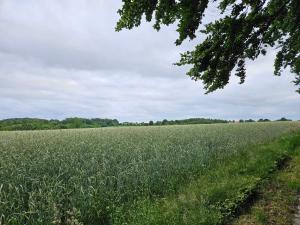 6 person holiday home in Hejls-By Traum