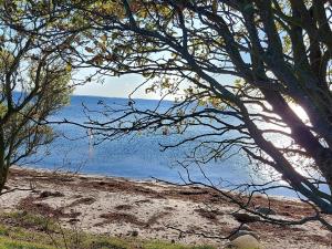 Seaside Haven with open terrace