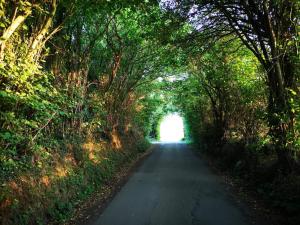 5 person holiday home in Hejls-By Traum