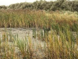 Seaside Escape in Laeso - By Traum Ferienwohnungen