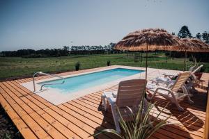 Entre Palmeras y Lavandas