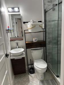 Luxury City 2bed 2bath Apt Sleeps 6 walk to Metro