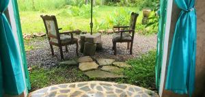 Studio surrounded by nature