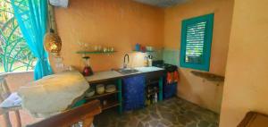 Studio surrounded by nature