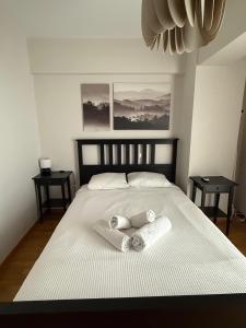 Athens Gate Acropolis Two bedroom apartment
