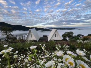 Mr Shin Farmstay นย๊อยง ฟาร์มสเตย์