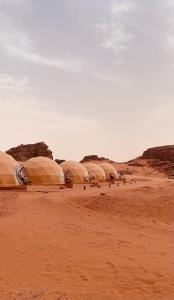 Desert Horizon Camp - Ubytování bez kategorie ve městě Disah