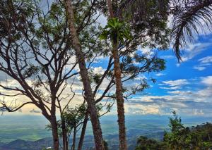 Mirador Ecohotel Barlovento