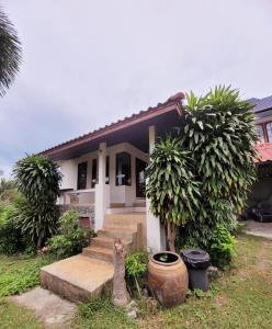 maison white lotus h2