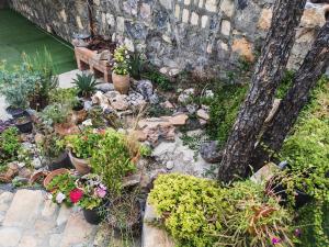Al Jabal Alakhdar Bayt alhagar residance الجبل الأخضر بيت الحجر شاليه