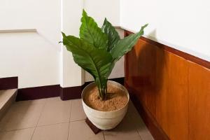 Casa Tentay Iloilo City