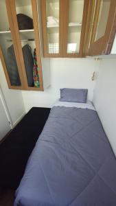 Amazing apartment in downtown São Paulo