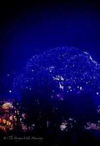 The Bougainvilla Homestay