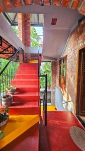Eco Friendly House