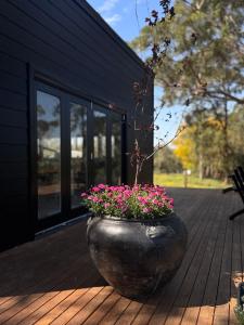 Kingaley Farmstay