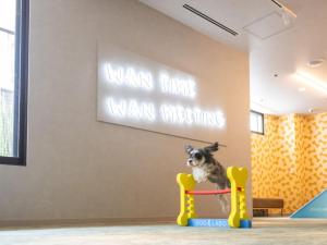 hotel anddoggy Kyoto Nijo