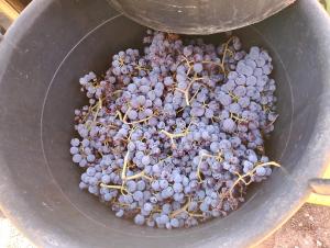 Casa Gioconda Bed & Breakfast img35