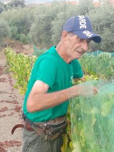 Casa Gioconda Bed & Breakfast img45