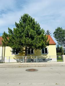 Guesthouse Tulln